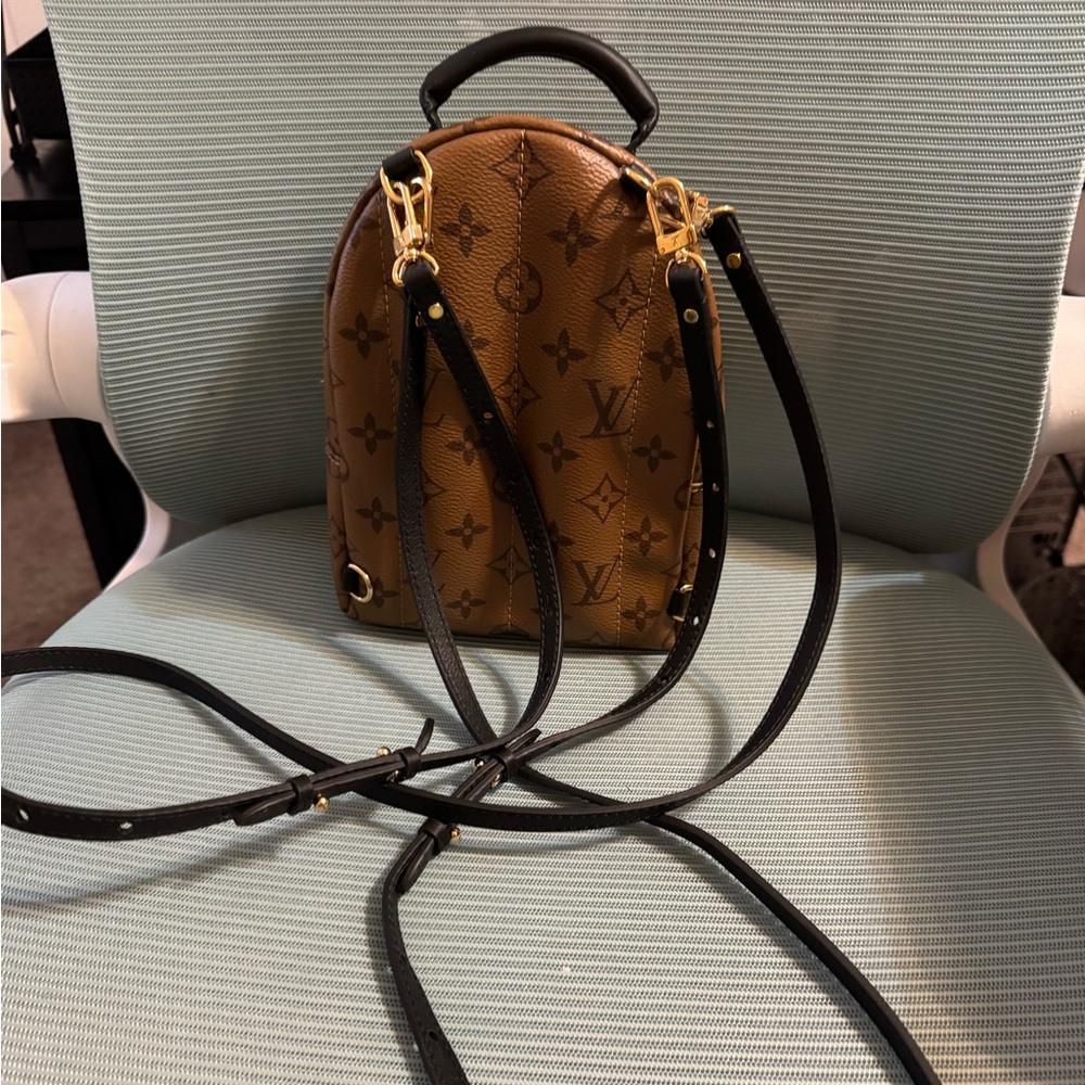 Louis Vuitton Reverse Monogram Palm Springs Mini Backpack - Picture 2 of 7